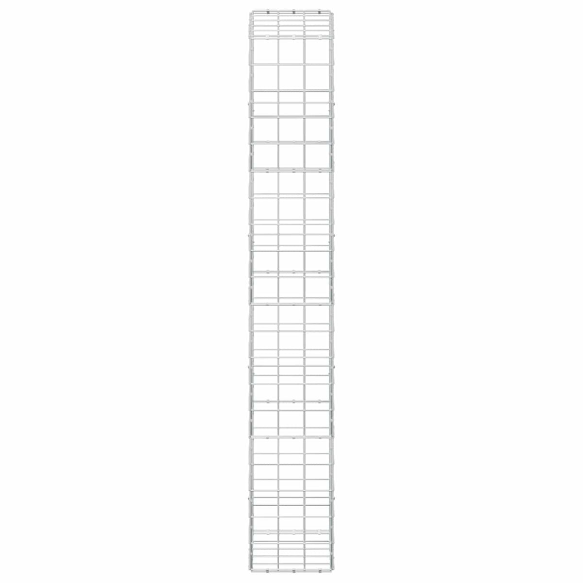 Gabion with 5 mm Wire and 10x10 cm Mesh 50x30x200 cm