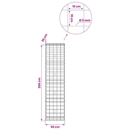 Gabion with 5 mm Wire and 10x10 cm Mesh 50x30x200 cm