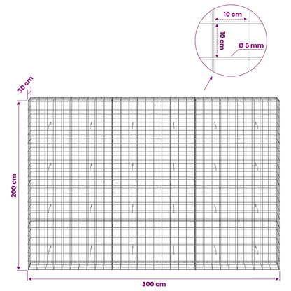 Gabion with 5 mm Wire and 10x10 cm Mesh 300x30x200 cm