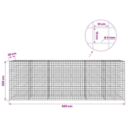 Gabion with 5 mm Wire and 10x10 cm Mesh 600x30x200 cm