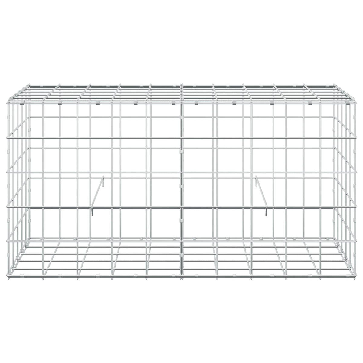 Gabion with 5 mm Wire and 10x10 cm Mesh 100x50x50 cm