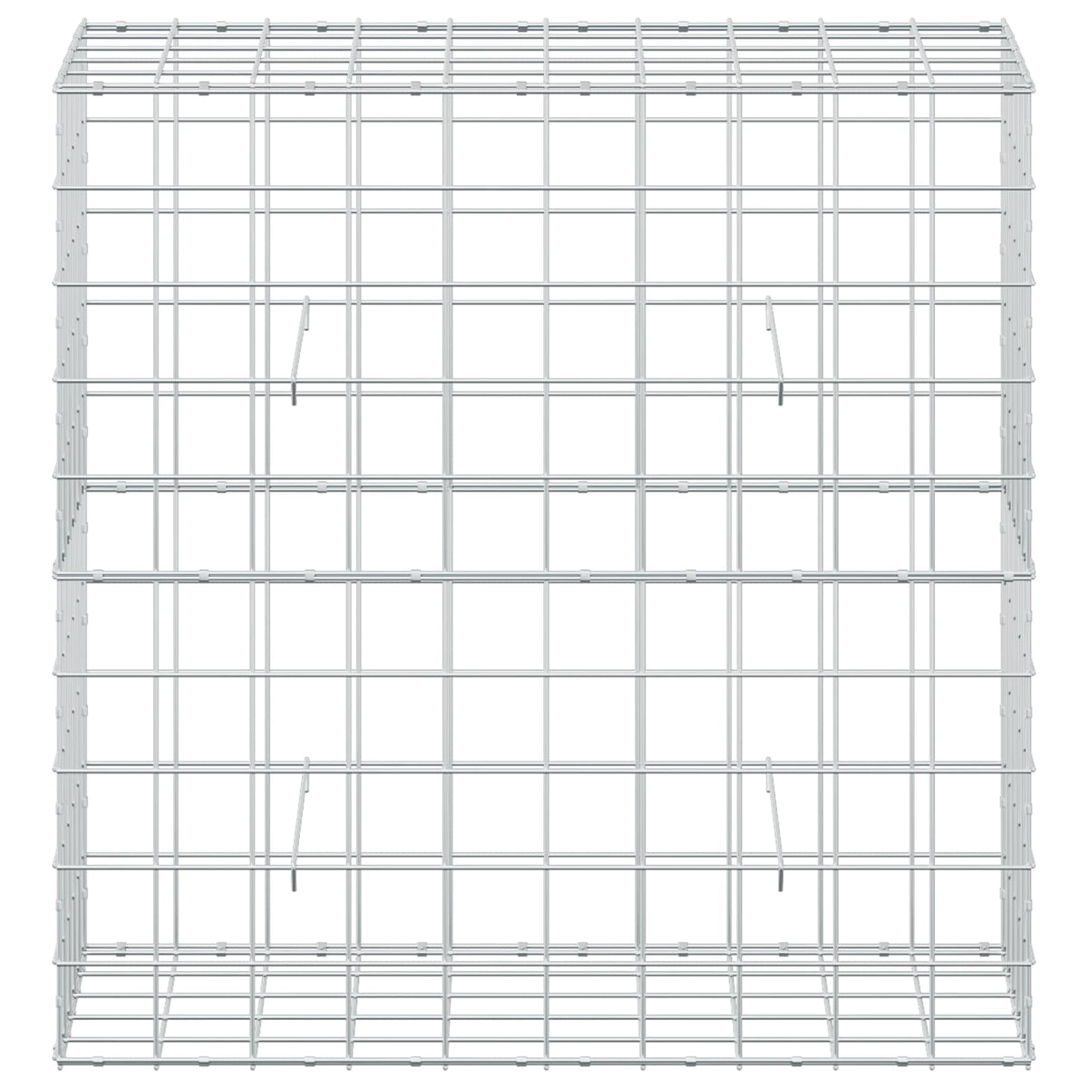 Gabion with 5 mm Wire and 10x10 cm Mesh 100x50x100 cm