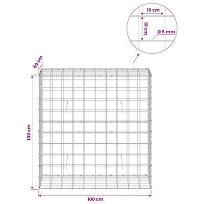 Gabion with 5 mm Wire and 10x10 cm Mesh 100x50x100 cm