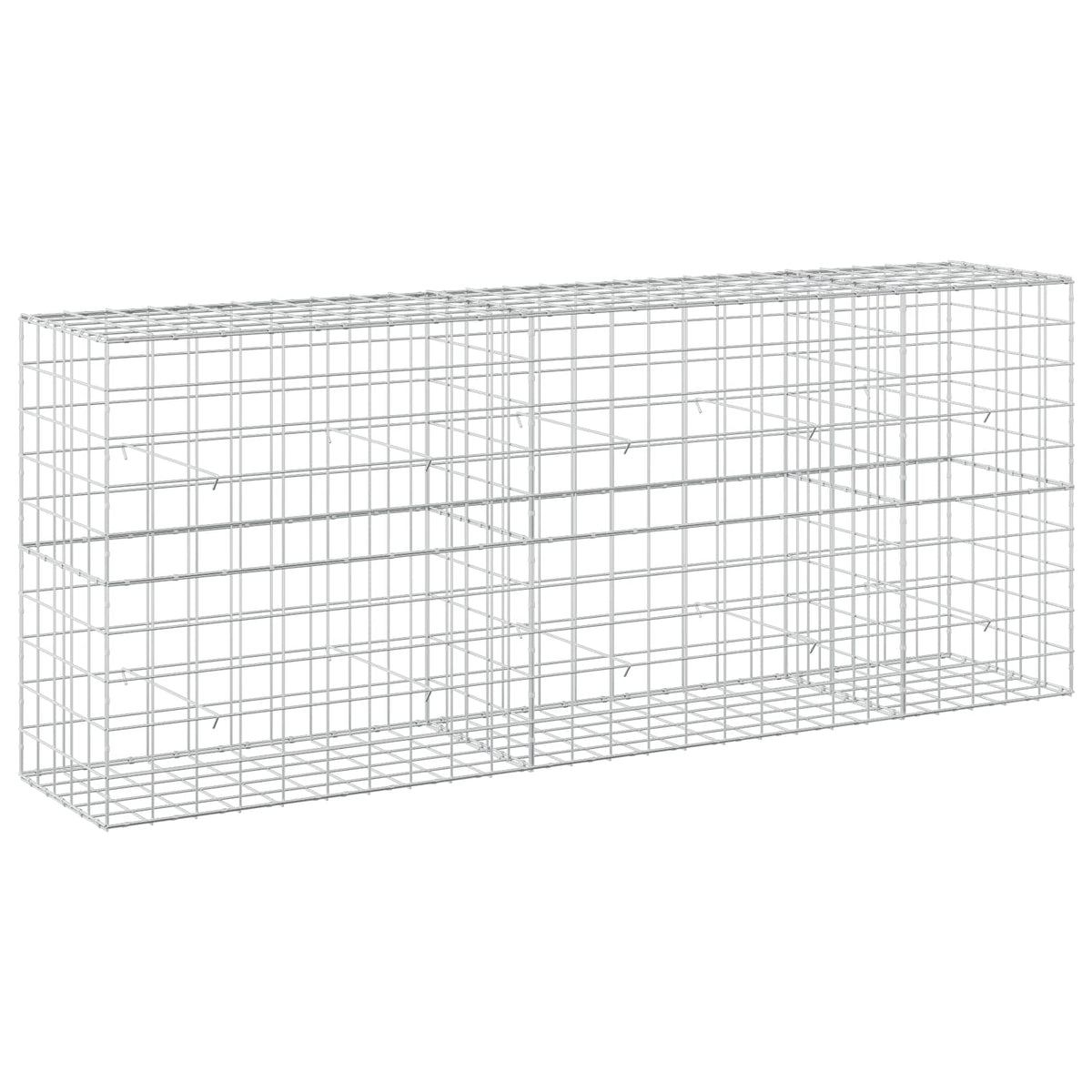 Gabion with 5 mm Wire and 10x10 cm Mesh 250x50x100 cm
