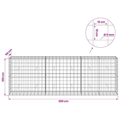 Gabion with 5 mm Wire and 10x10 cm Mesh 300x50x100 cm
