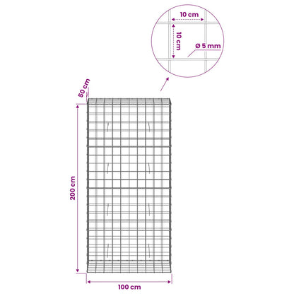 Gabion with 5 mm Wire and 10x10 cm Mesh 100x50x200 cm