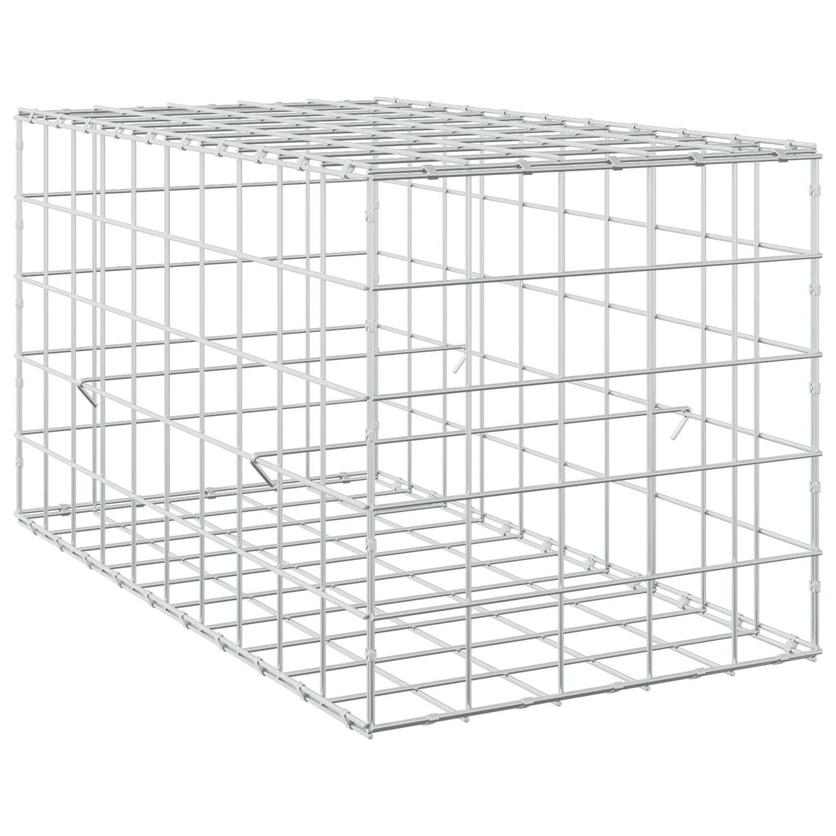 Gabion with 5 mm Wire and 10x10 cm Mesh 50x100x50 cm
