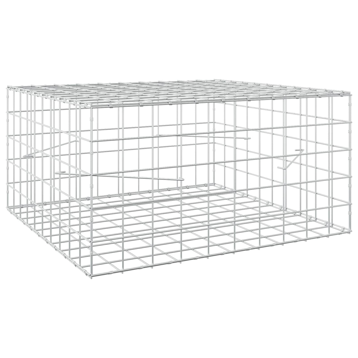 Gabion with 5 mm Wire and 10x10 cm Mesh 100x100x50 cm