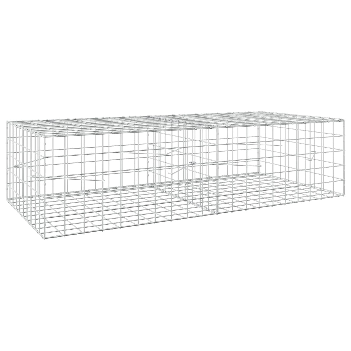 Gabion with 5 mm Wire and 10x10 cm Mesh 200x100x50 cm