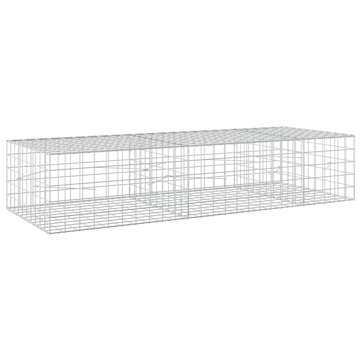 Gabion with 5 mm Wire and 10x10 cm Mesh 250x100x50 cm