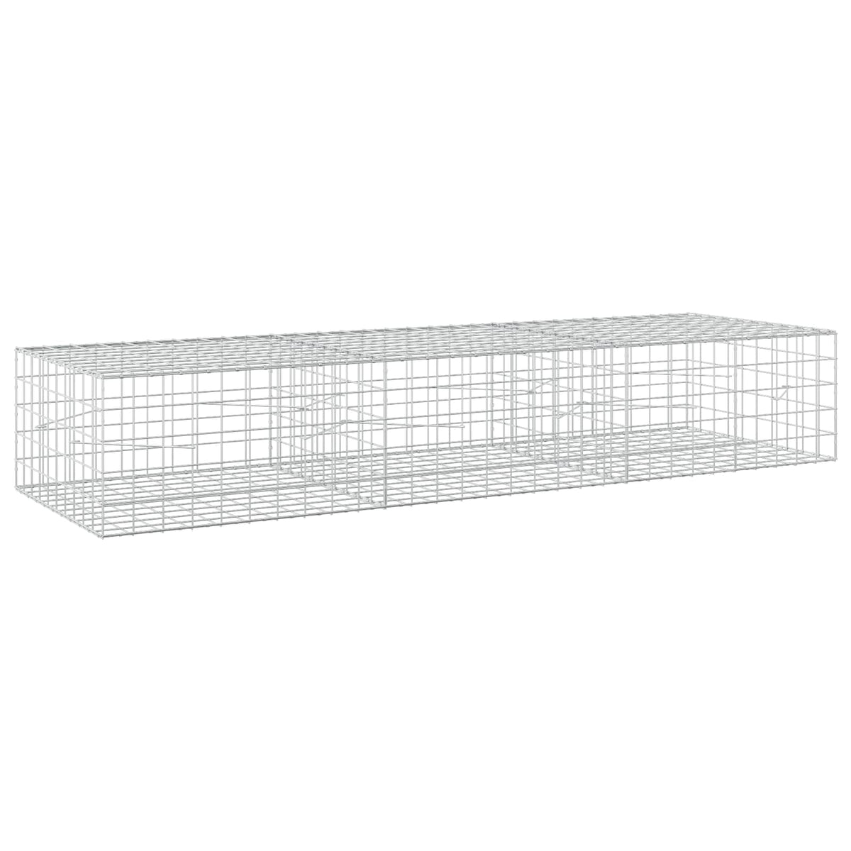 Gabion with 5 mm Wire and 10x10 cm Mesh 300x100x50 cm