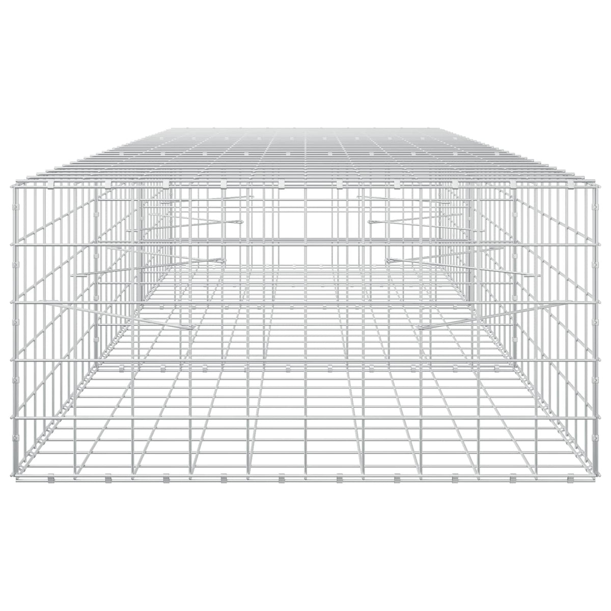 Gabion with 5 mm Wire and 10x10 cm Mesh 300x100x50 cm