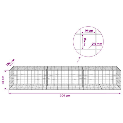 Gabion with 5 mm Wire and 10x10 cm Mesh 300x100x50 cm