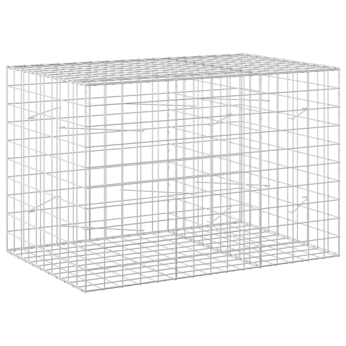 Gabion with 5 mm Wire and 10x10 cm Mesh 150x100x100 cm