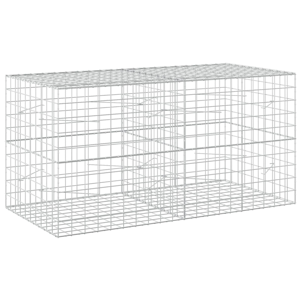 Gabion with 5 mm Wire and 10x10 cm Mesh 200x100x100 cm