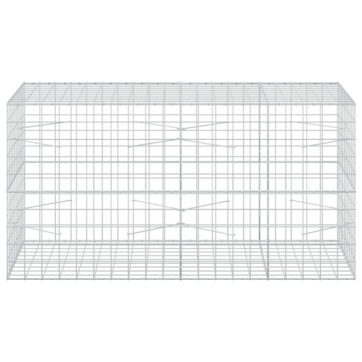 Gabion with 5 mm Wire and 10x10 cm Mesh 200x100x100 cm
