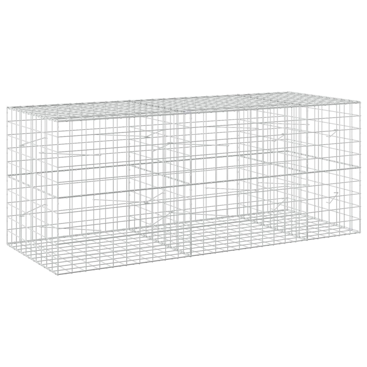 Gabion with 5 mm Wire and 10x10 cm Mesh 250x100x100 cm