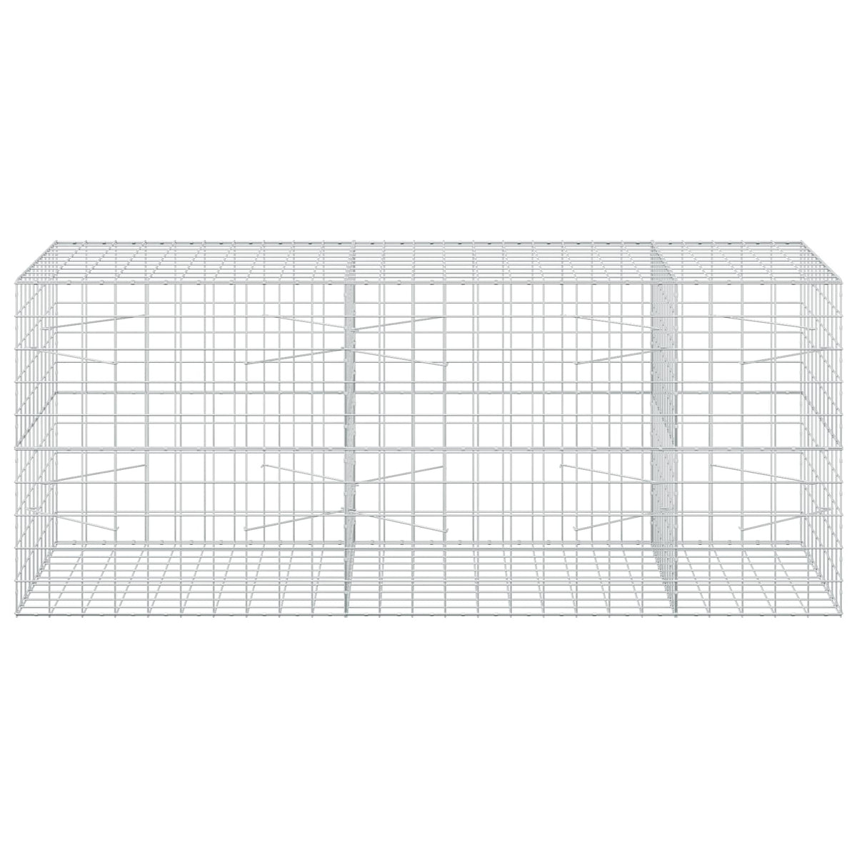Gabion with 5 mm Wire and 10x10 cm Mesh 250x100x100 cm