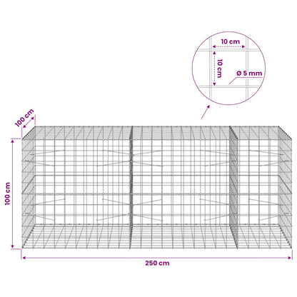 Gabion with 5 mm Wire and 10x10 cm Mesh 250x100x100 cm