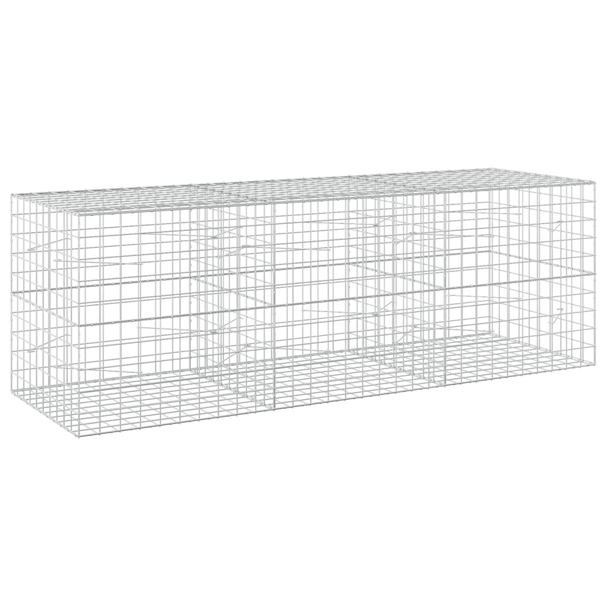 Gabion with 5 mm Wire and 10x10 cm Mesh 300x100x100 cm
