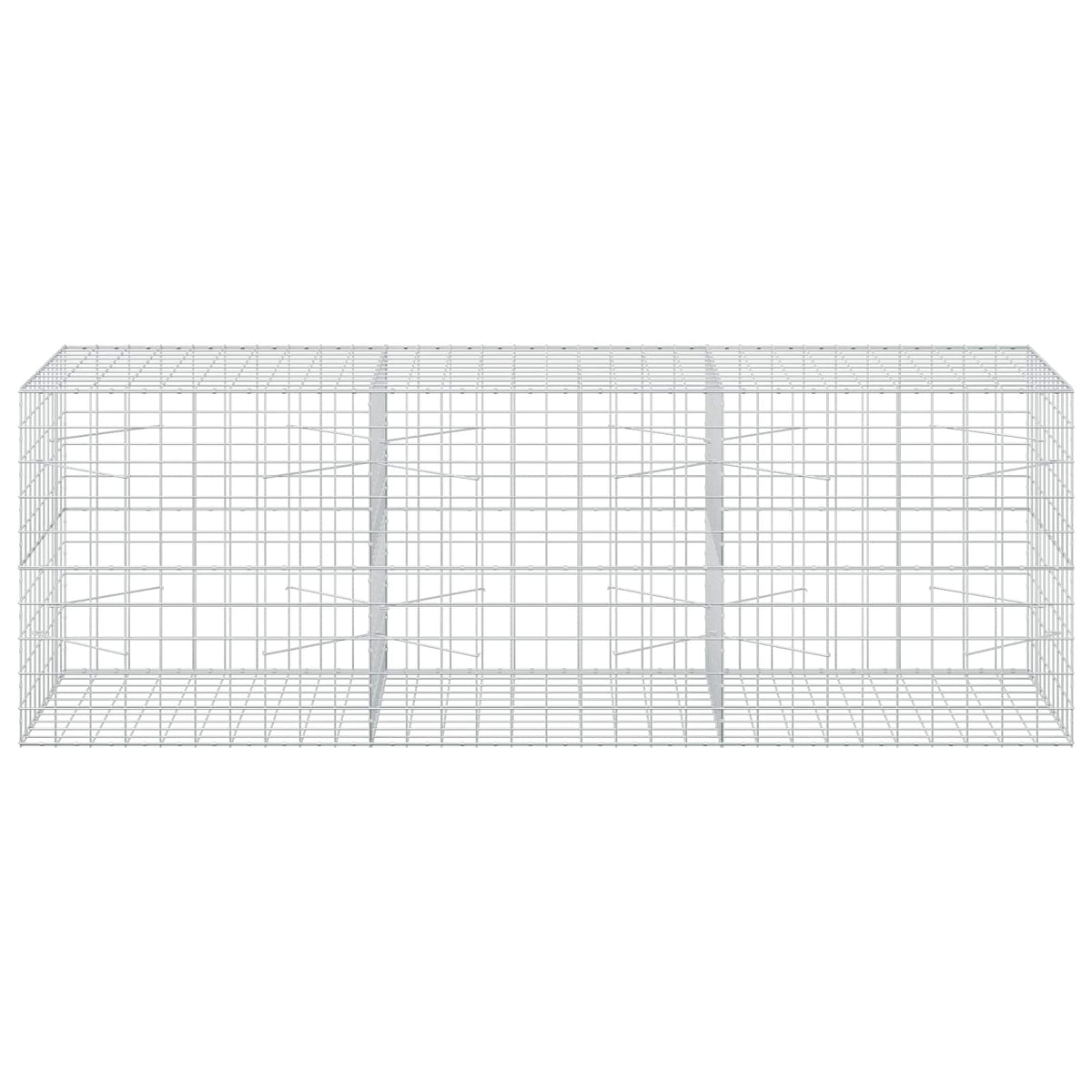 Gabion with 5 mm Wire and 10x10 cm Mesh 300x100x100 cm