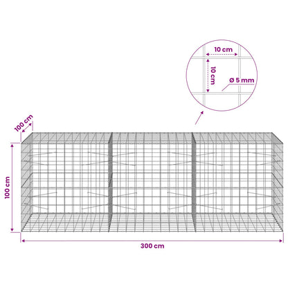 Gabion with 5 mm Wire and 10x10 cm Mesh 300x100x100 cm