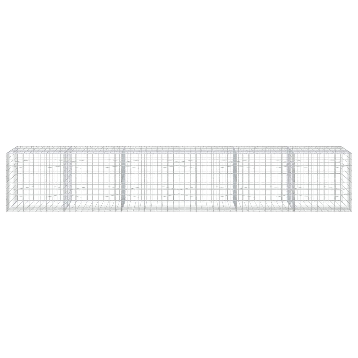 Gabion with 5 mm Wire and 10x10 cm Mesh 600x100x100 cm