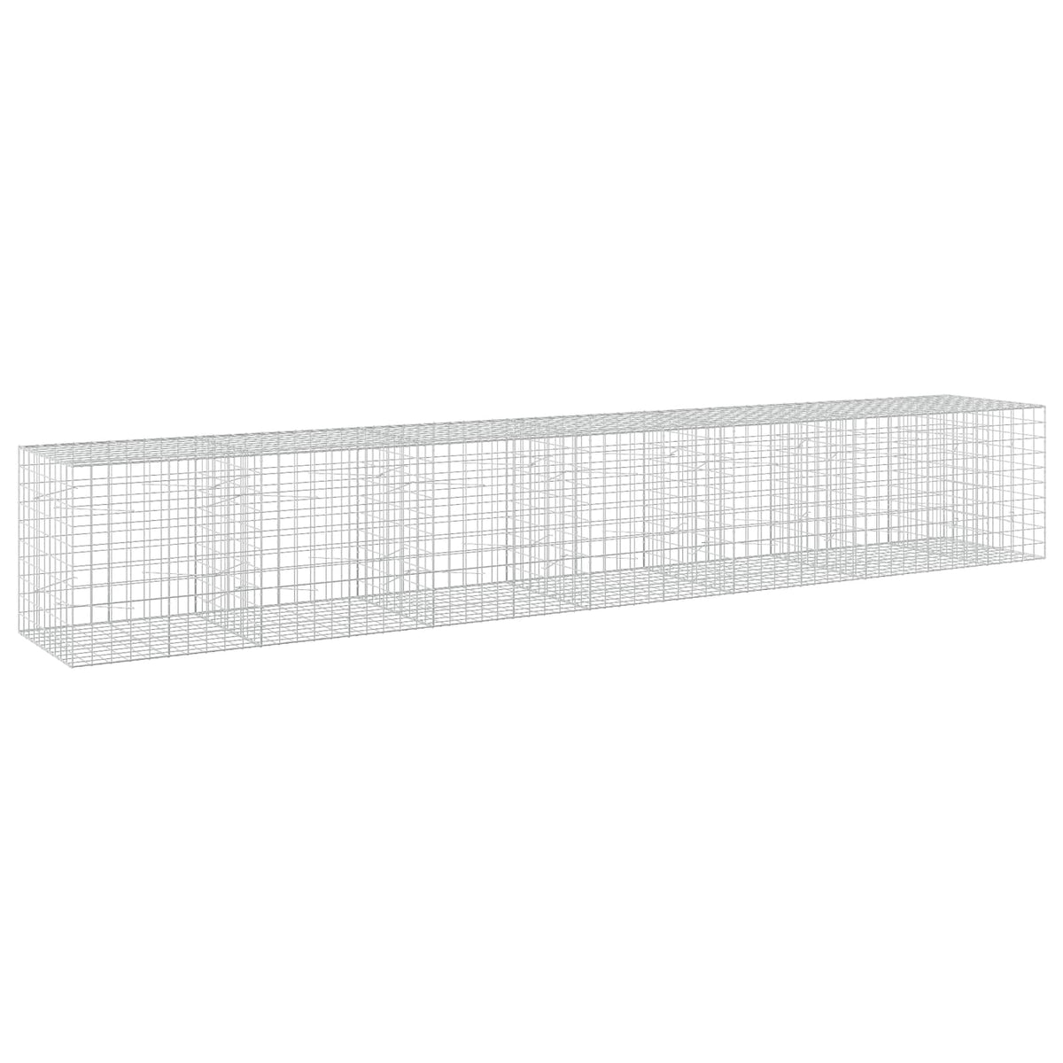 Gabion with 5 mm Wire and 10x10 cm Mesh 650x100x100 cm