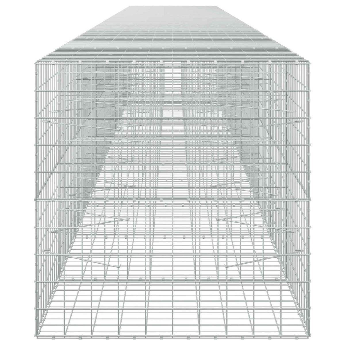 Gabion with 5 mm Wire and 10x10 cm Mesh 1100x100x100 cm