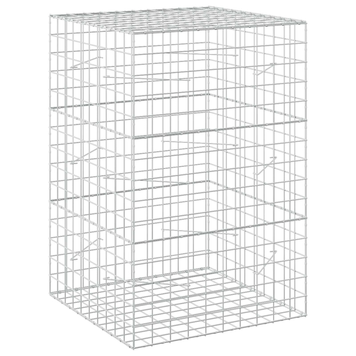 Gabion with 5 mm Wire and 10x10 cm Mesh 100x100x150 cm