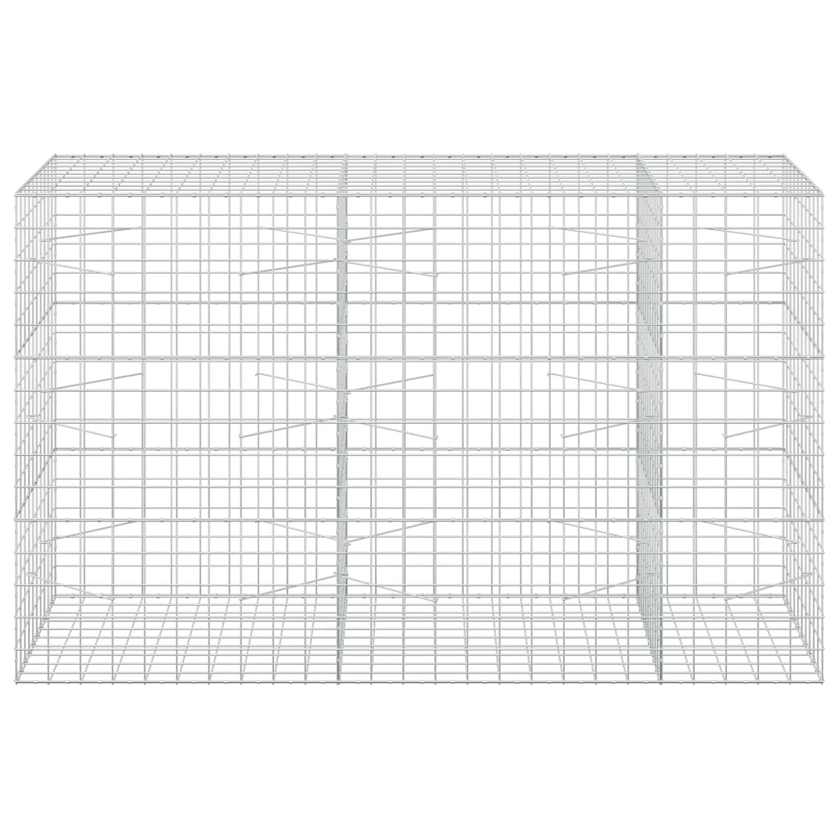 Gabion with 5 mm Wire and 10x10 cm Mesh 250x100x150 cm