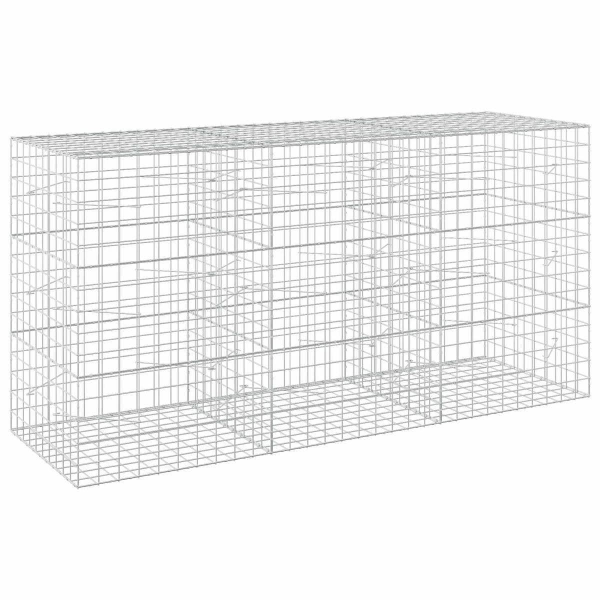 Gabion with 5 mm Wire and 10x10 cm Mesh 300x100x150 cm