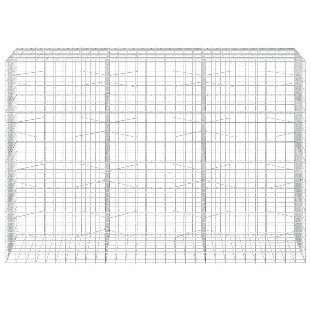 Gabion with 5 mm Wire and 10x10 cm Mesh 300x100x200 cm