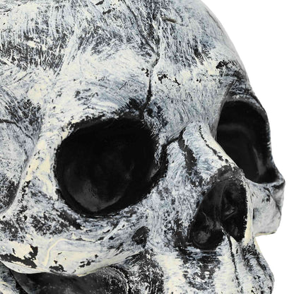 Halloween Skull SPOOKA 2 pcs White 12 x 15 x 17.5 cm Plastic
