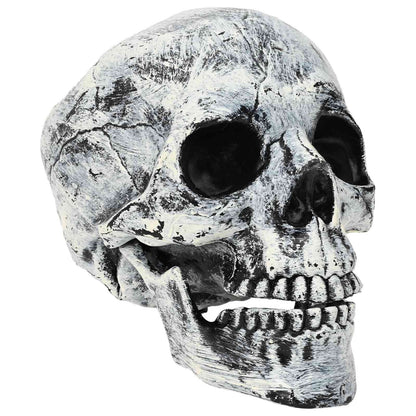 Halloween Skull SPOOKA 2 pcs White 12 x 15 x 17.5 cm Plastic