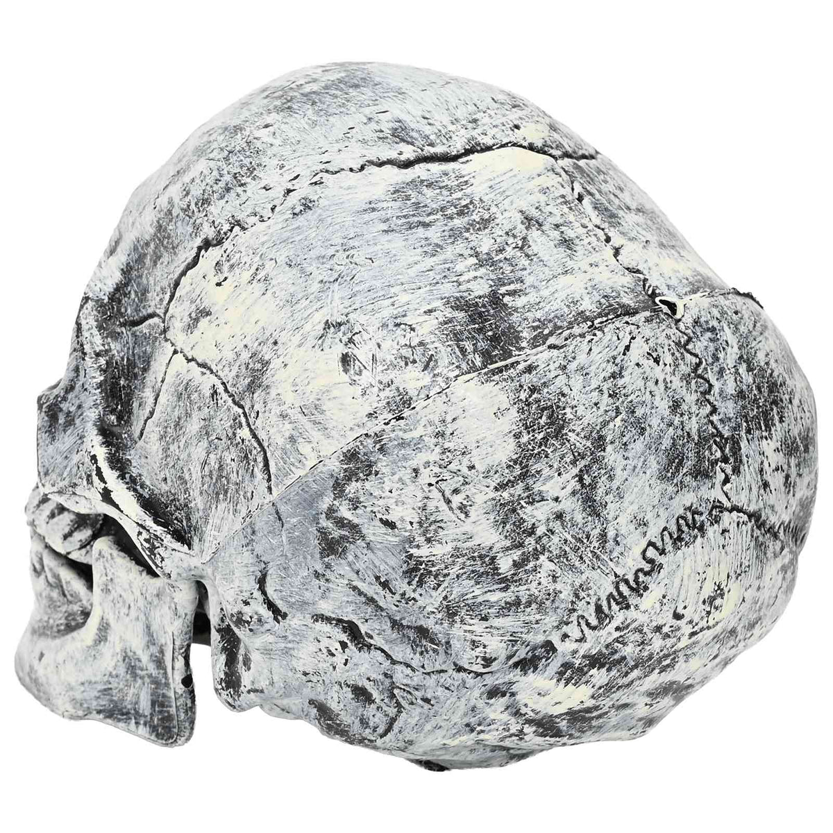 Halloween Skull SPOOKA 2 pcs White 12 x 15 x 17.5 cm Plastic