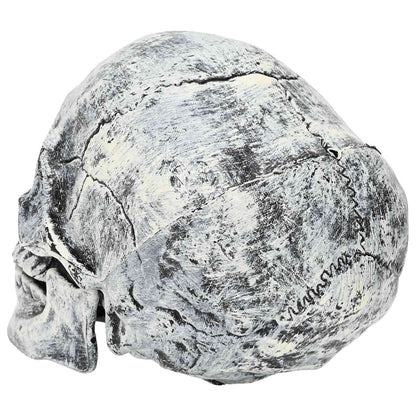 Halloween Skull SPOOKA 2 pcs White 12 x 15 x 17.5 cm Plastic