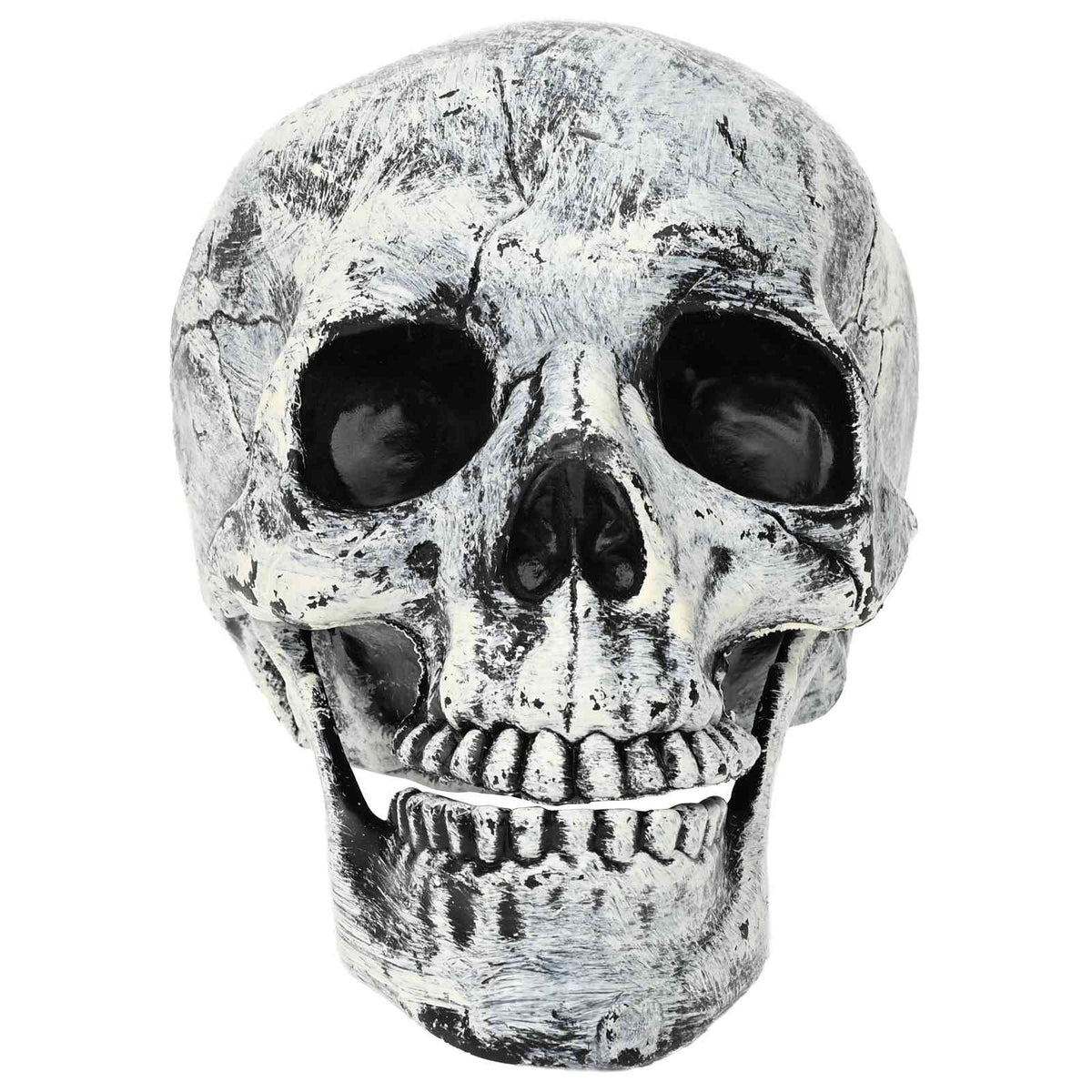 Halloween Skull SPOOKA 2 pcs White 12 x 15 x 17.5 cm Plastic