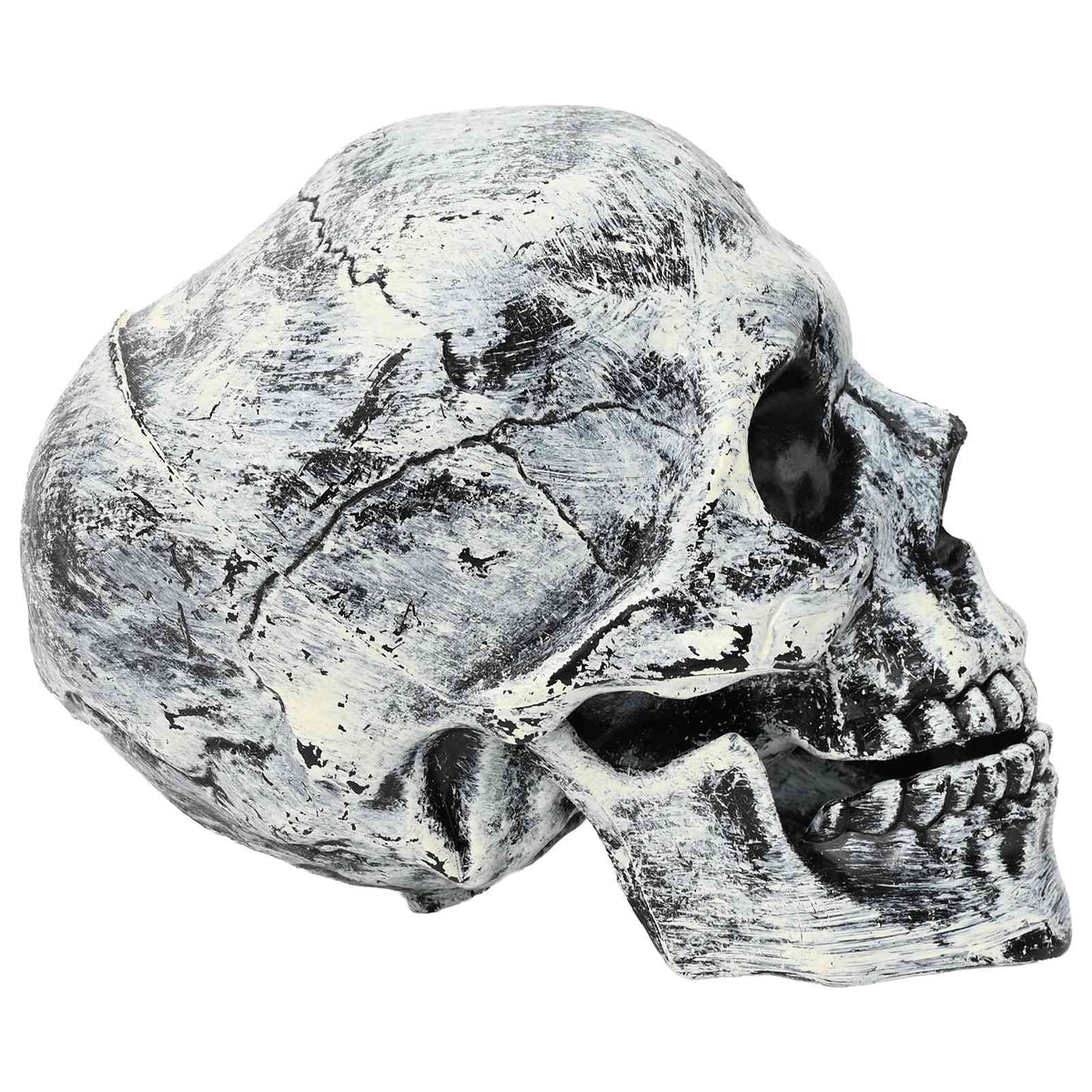 Halloween Skull SPOOKA 2 pcs White 12 x 15 x 17.5 cm Plastic