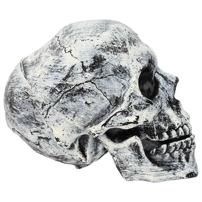 Halloween Skull SPOOKA 2 pcs White 12 x 15 x 17.5 cm Plastic