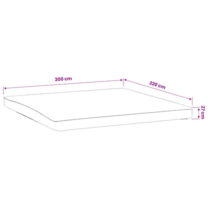 Mattress Protector 2 pcs 200 x 220 cm Waterproof White