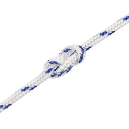 Multipurpose Utility Rope 2 mm 500 m White and Blue PP