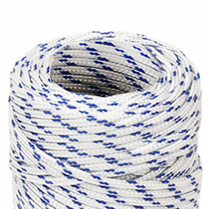 Multipurpose Utility Rope 2 mm 500 m White and Blue PP