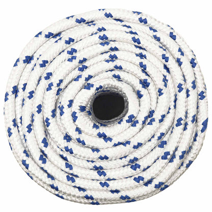 Multipurpose Utility Rope 12 mm 100 m White and Blue PP