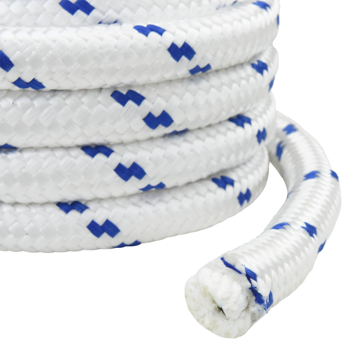 Multipurpose Utility Rope 30 mm 10 m White and Blue PP