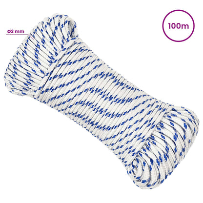 Multipurpose Utility Rope 3 mm 100 m White and Blue PP