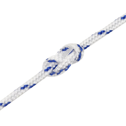 Multipurpose Utility Rope 2 mm 25 m White and Blue PP