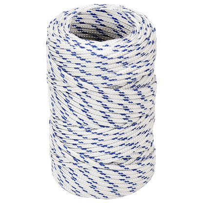 Multipurpose Utility Rope 2 mm 25 m White and Blue PP