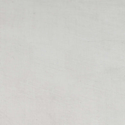 Lawn Edging 10 pcs 15 x 103 cm Stainless Steel Silver